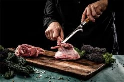 Forged Olive Uitbeenmes 16cm -Petromax || Napoleon || Big Green Egg Verkoop forged olive uitbeenmes 16cm 2