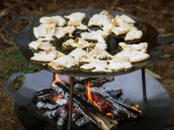 Petromax Smeedijzeren Grilplaat / Vuurschaal -Petromax || Napoleon || Big Green Egg Verkoop petromax smeedijzeren grilplaat vuurschaal 3