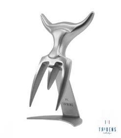 Tridens Brushed Fork In Stainless Steel Holder